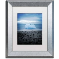 Trademark Fine Art 'Cotton Blue' Canvas Art by Philippe Sainte-Laudy, White Matte, Silver Frame