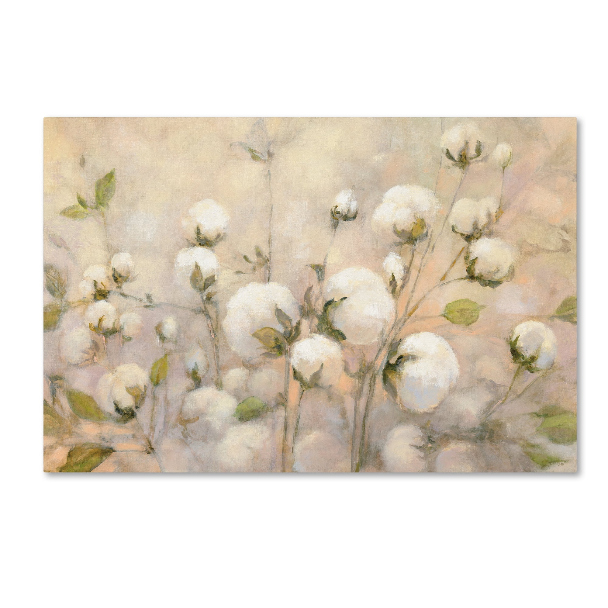 Trademark Fine Art 'Cotton Field' Canvas Art by Julia Purinton
