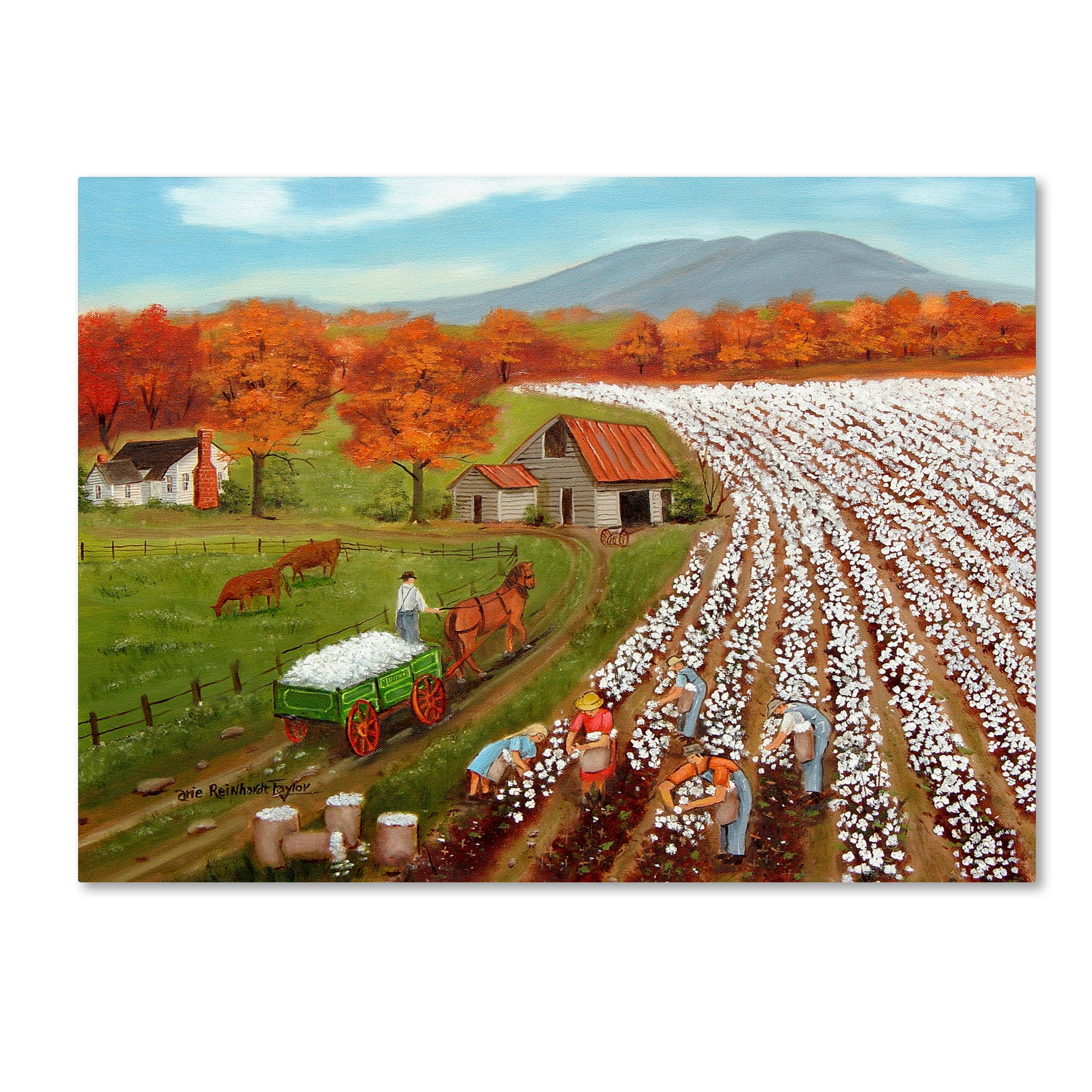 Trademark Fine Art 'Cotton Fields And Bakers Mountain' Canvas Art by Arie Reinhardt Taylor