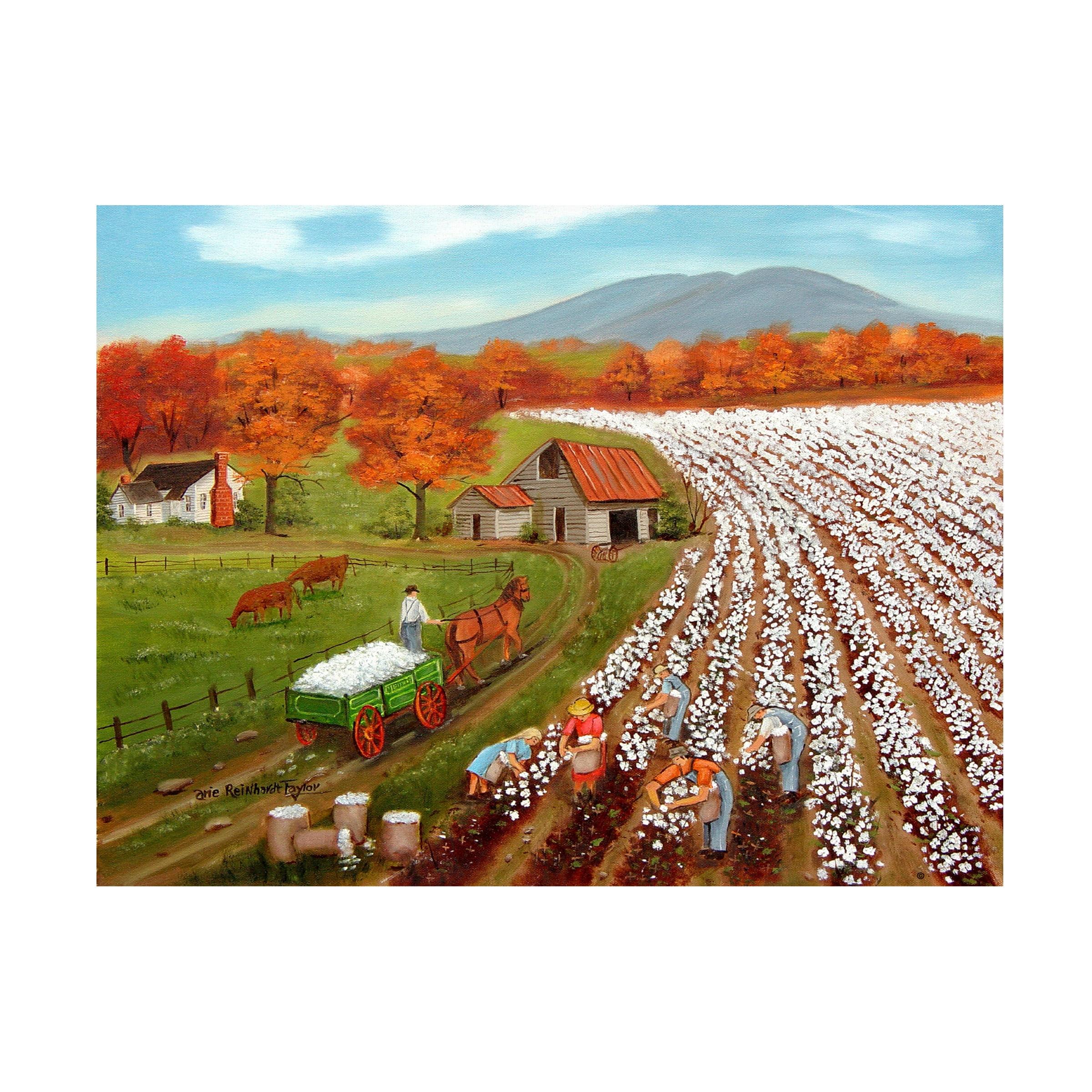 Trademark Fine Art 'Cotton Fields And Bakers Mountain' Canvas Art by Arie Reinhardt Taylor