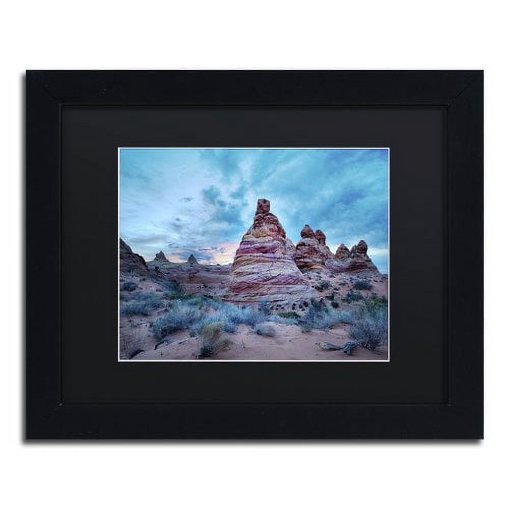 Trademark Fine Art "Cottonwood I" Canvas Art by Moises Levy Black Matte, Black Frame