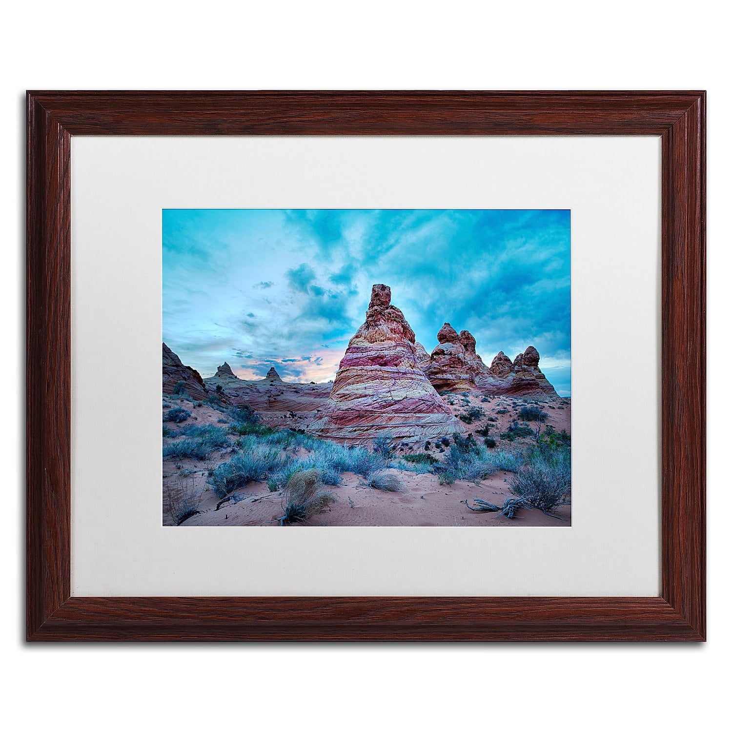 Trademark Fine Art "Cottonwood I" Canvas Art by Moises Levy White Matte, Wood Frame