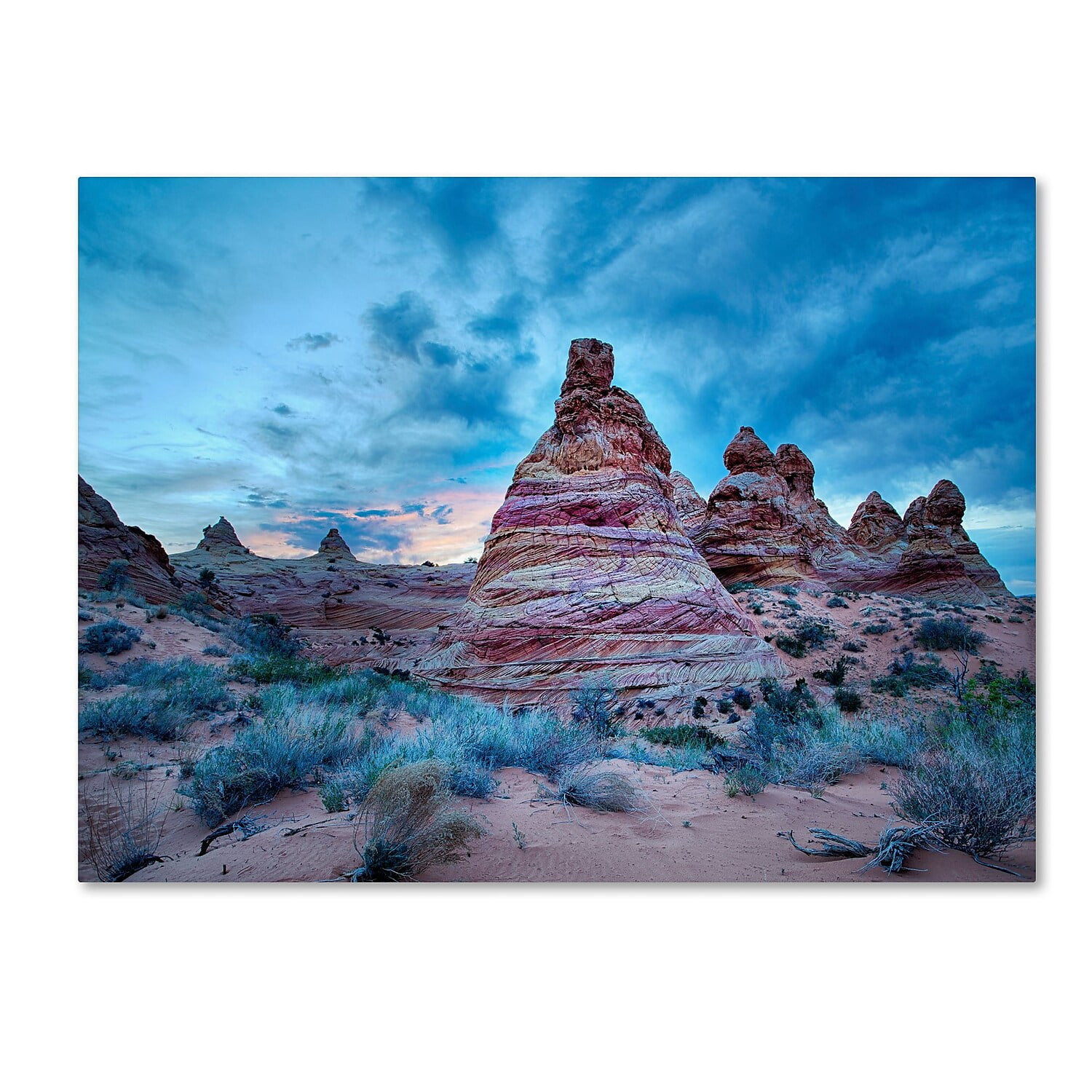 Trademark Fine Art "Cottonwood I" Canvas Art by Moises Levy
