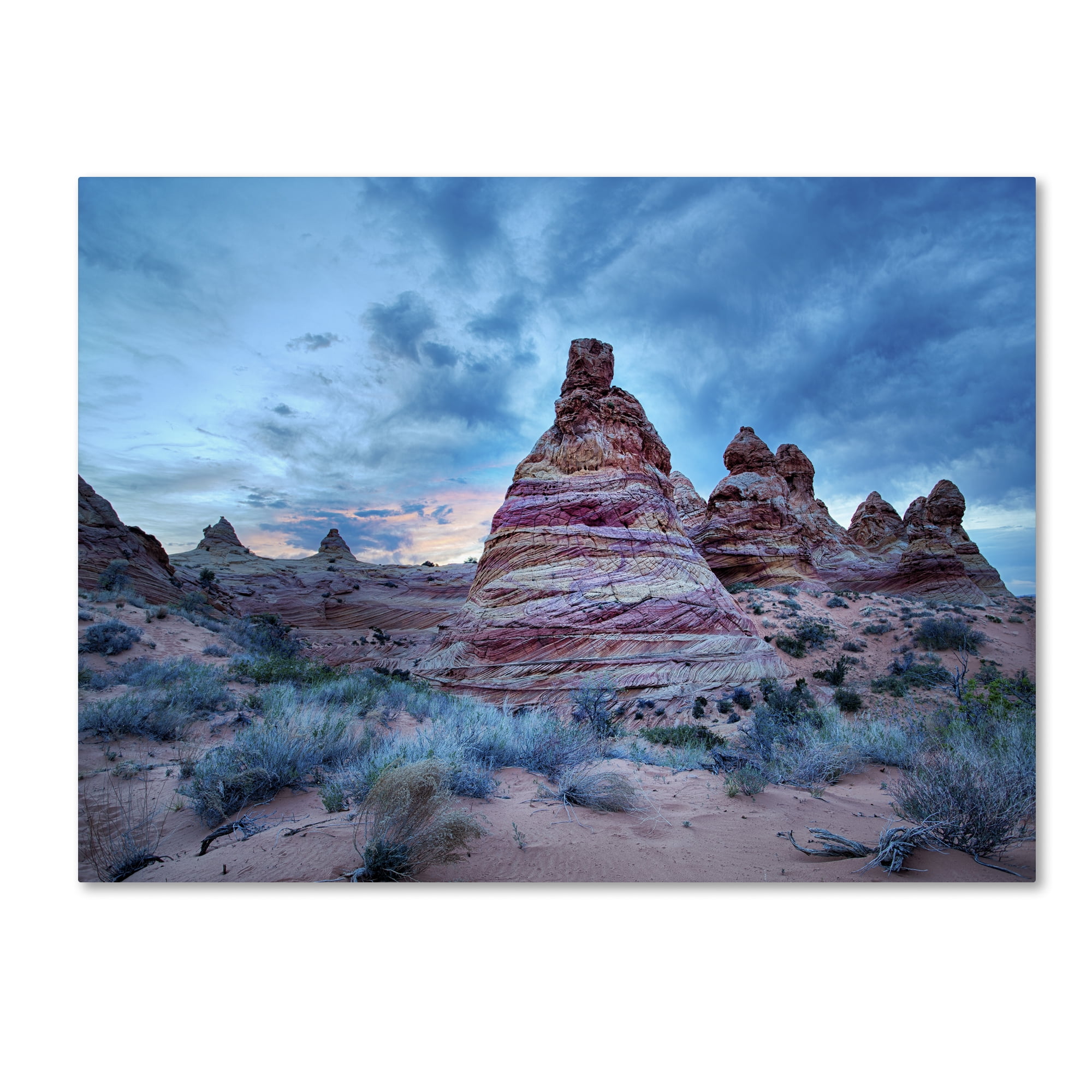Trademark Fine Art "Cottonwood I" Canvas Art by Moises Levy