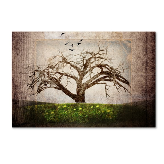 Trademark Fine Art 'Cottonwood Tree Part 03' Canvas Art by LightBoxJournal