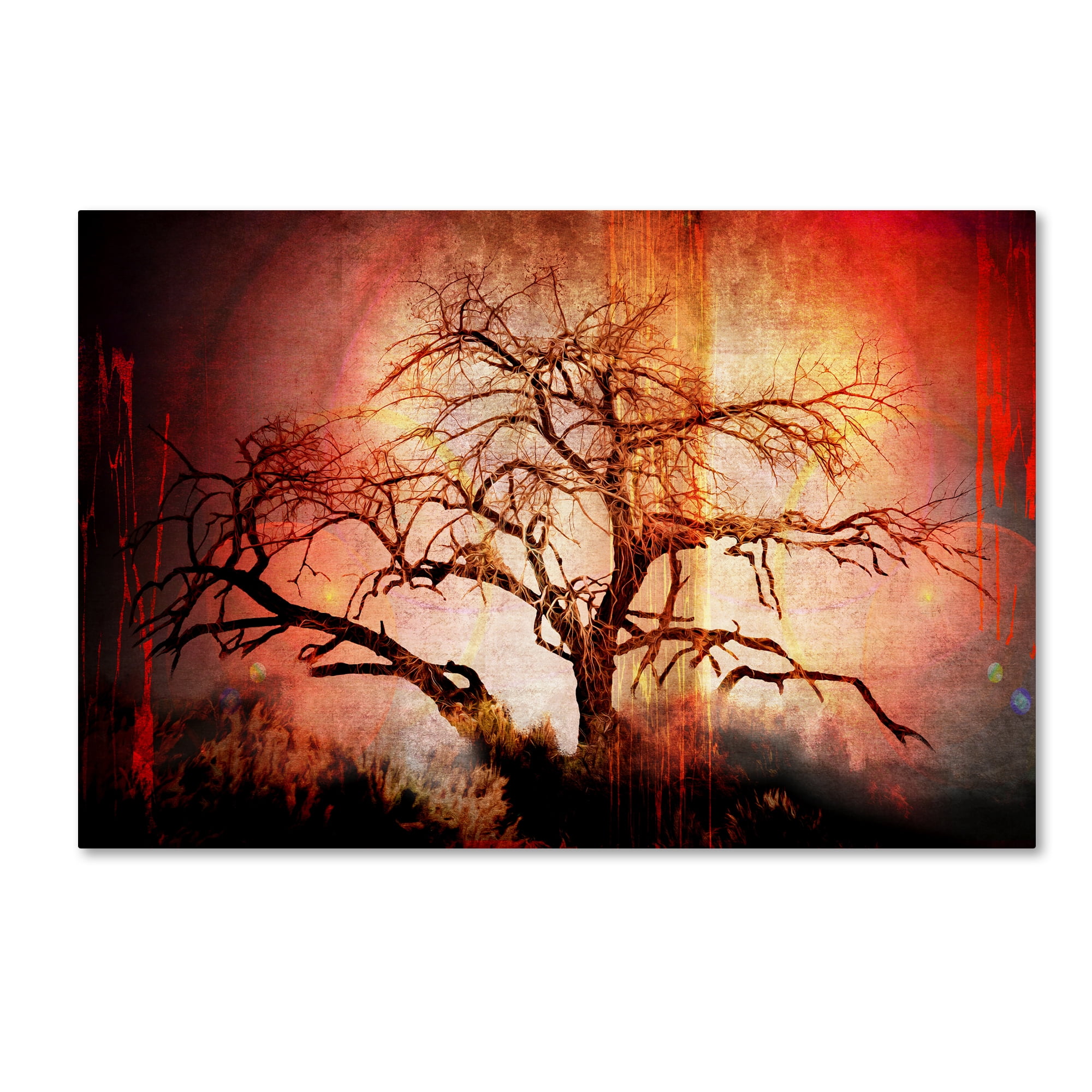 Trademark Fine Art 'Cottonwood Tree Part 10' Canvas Art by LightBoxJournal