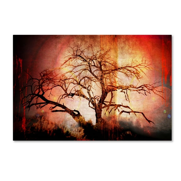 Trademark Fine Art 'Cottonwood Tree Part 10' Canvas Art by LightBoxJournal