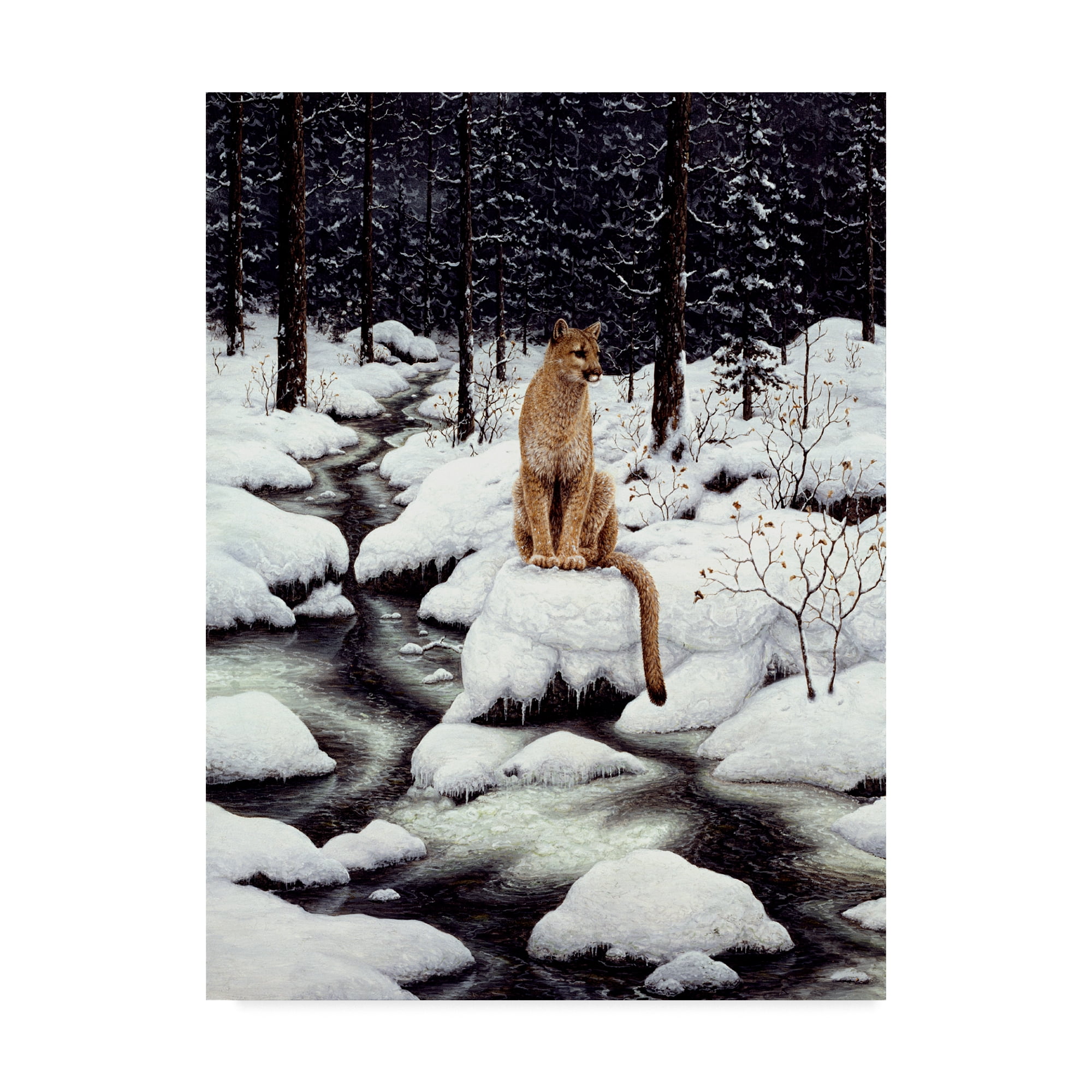 Trademark Fine Art 'Cougar' Canvas Art by Jeff Tift