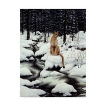 Trademark Fine Art 'Cougar' Canvas Art by Jeff Tift