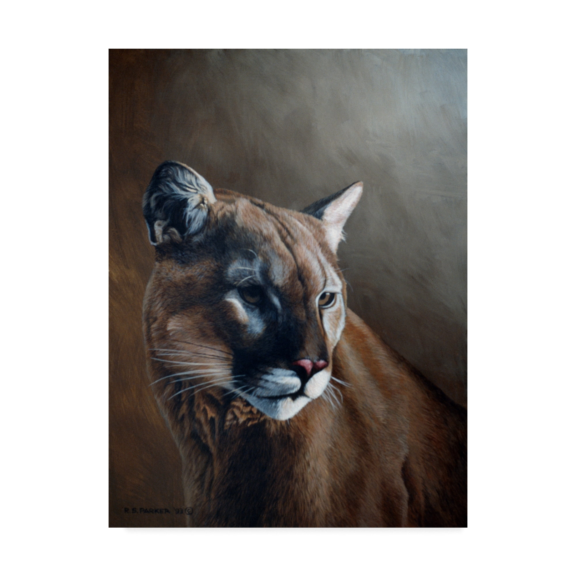 Ron Parker Cougar Portrait Gallery-Wrapped Canvas Art