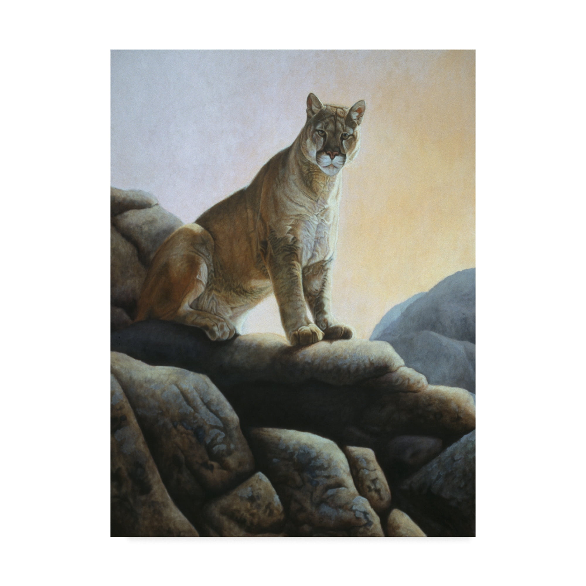 Trademark Fine Art 'Cougar' Canvas Art by Rusty Frentner