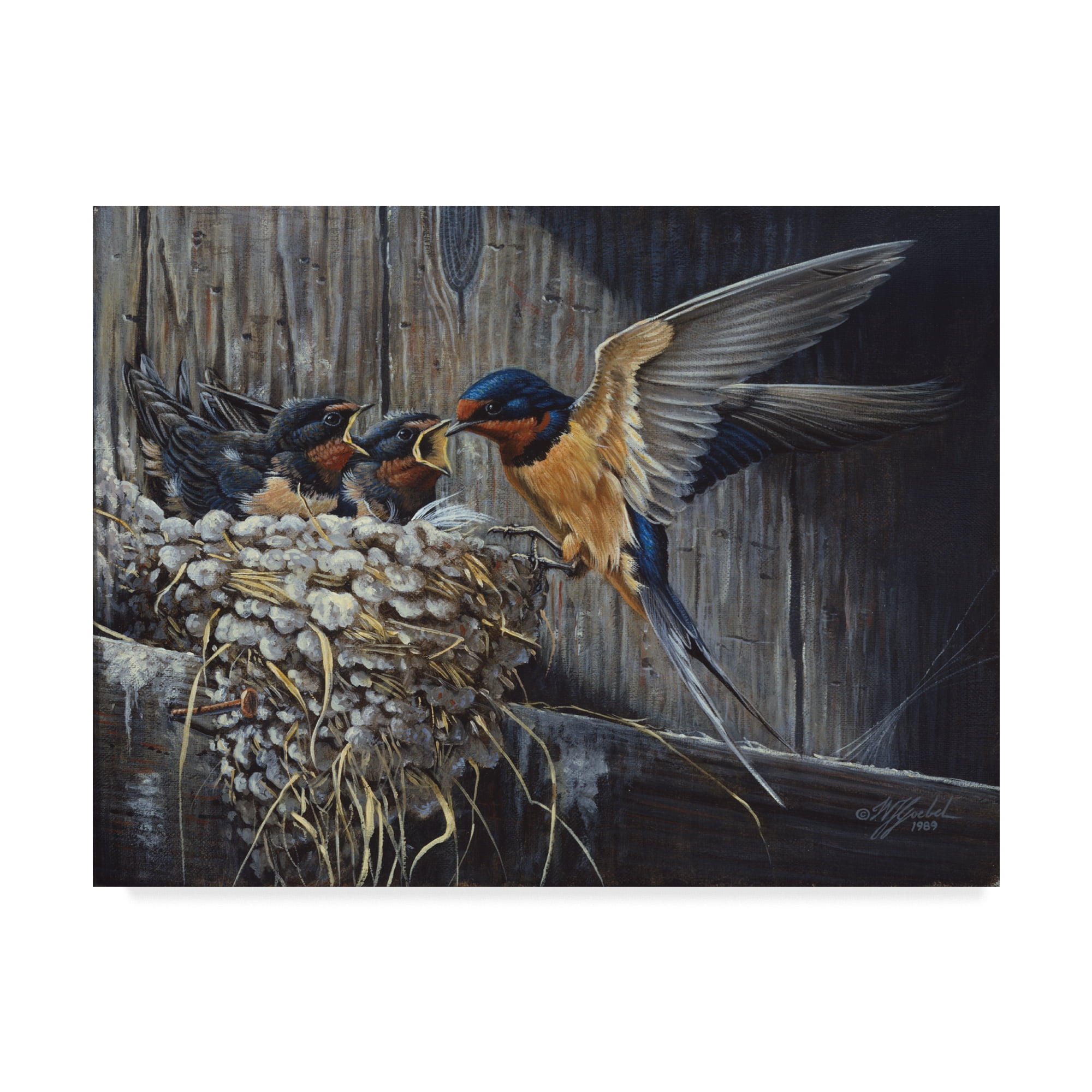 Trademark Fine Art 'Country Barn Swallows' Canvas Art by Wilhelm Goebel