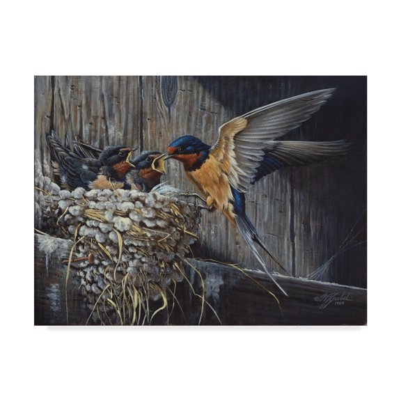 Trademark Fine Art 'Country Barn Swallows' Canvas Art by Wilhelm Goebel