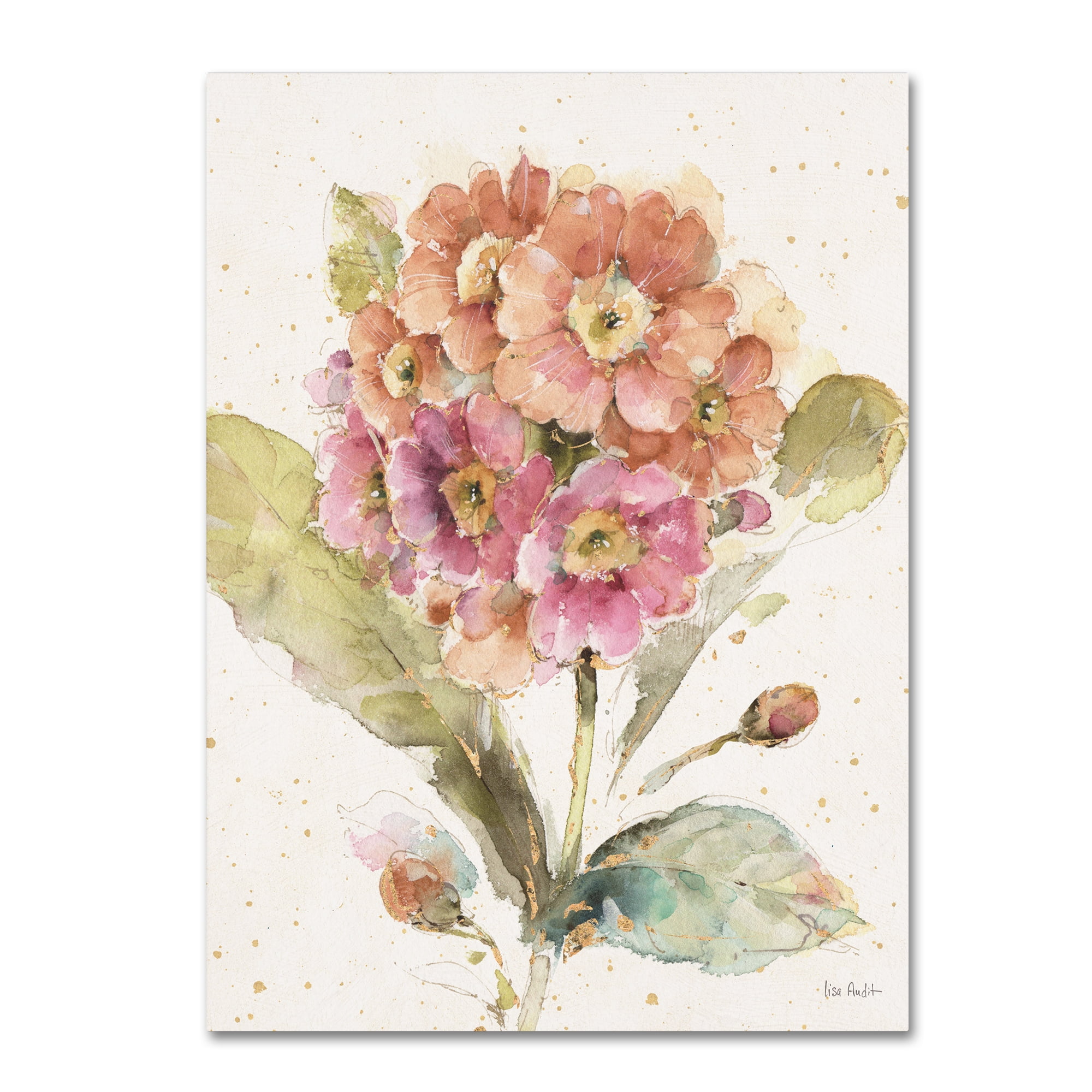 Trademark Fine Art 'Country Bloom III' Canvas Art by Lisa Audit