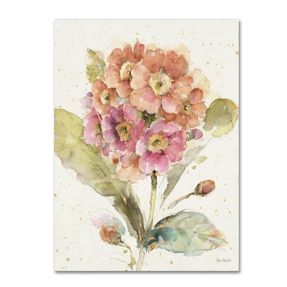 Trademark Fine Art 'Country Bloom III' Canvas Art by Lisa Audit