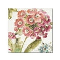 thumbnail image 1 of Trademark Fine Art 'Country Bloom IV' Canvas Art by Lisa Audit, 1 of 3
