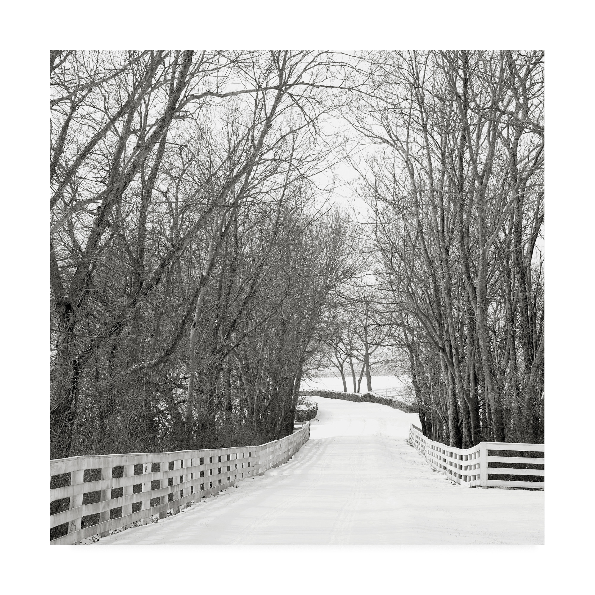 Trademark Fine Art 'Country Lane in Winter' Canvas Art by Nicholas Bel
