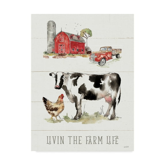 Trademark Fine Art 'Country Life III' Canvas Art by Anne Tavoletti