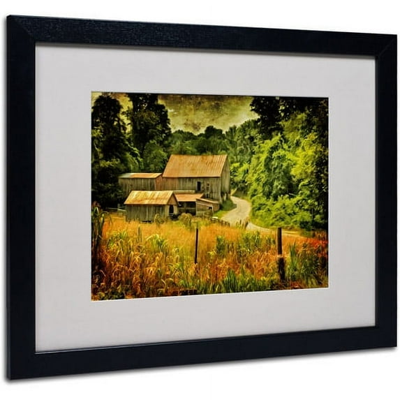 Trademark Fine Art "Country Road In Summer" by Lois Bryan, Black Frame