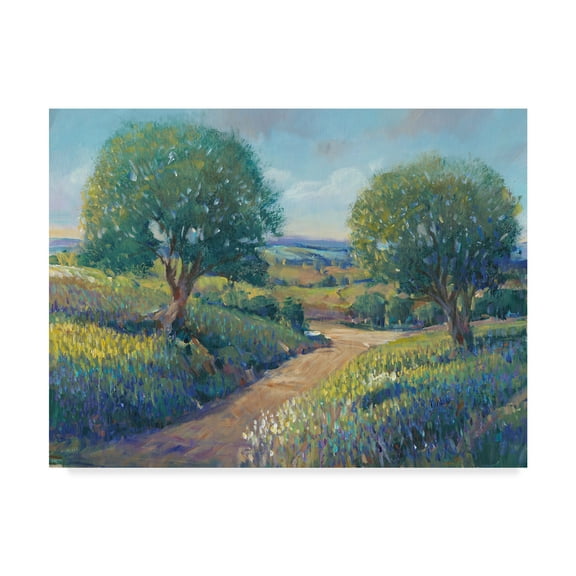 Trademark Fine Art 'Country Sentrees I' Canvas Art by Tim OToole