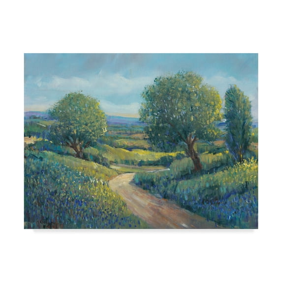 Trademark Fine Art 'Country Sentrees II' Canvas Art by Tim OToole