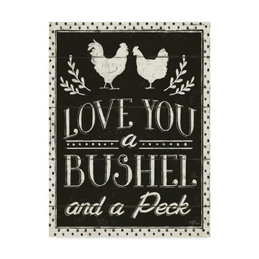Trademark Fine Art 'Country Thoughts V Black' Canvas Art by Janelle Penner