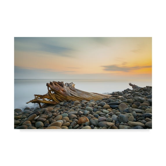Trademark Fine Art 'Covered Stones' Canvas Art by Chris Moyer