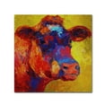 thumbnail image 1 of Trademark Fine Art 'Cow' Canvas Art by Marion Rose, 1 of 3