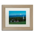 thumbnail image 1 of Trademark Fine Art 'Cow Under the Moon' Matted Framed Art by Michael Blanchette Photography, 1 of 4