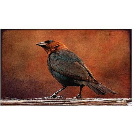 Trademark Fine Art "Cowbird in Autumn" Canvas Art by Lois Bryan