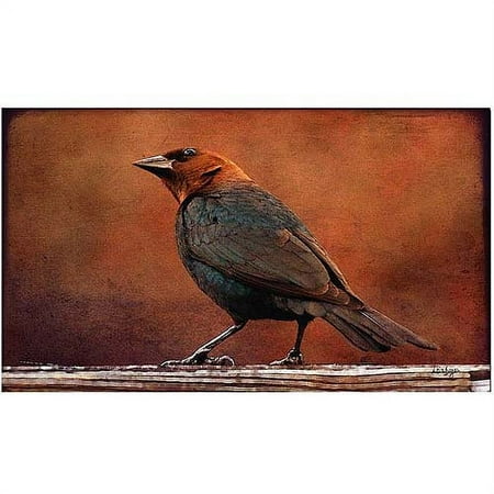 Trademark Fine Art "Cowbird in Autumn" Canvas Art by Lois Bryan