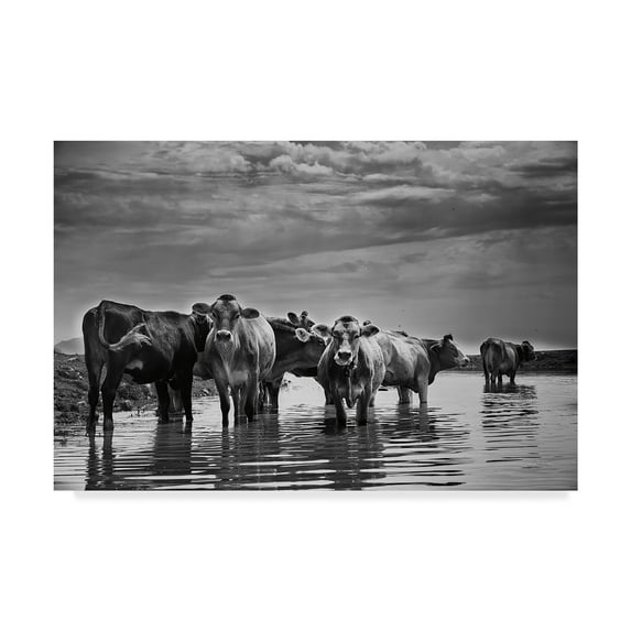 Trademark Fine Art 'Cows In the River' Canvas Art by Aledanda