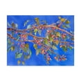 thumbnail image 1 of Trademark Fine Art 'Crab Apple In Tree' Canvas Art by Sharon Pitts, 1 of 3