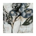 thumbnail image 1 of Trademark Fine Art 'Crackled Stems I' Canvas Art by Jennifer Goldberger, 1 of 4