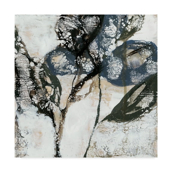 Trademark Fine Art 'Crackled Stems I' Canvas Art by Jennifer Goldberger