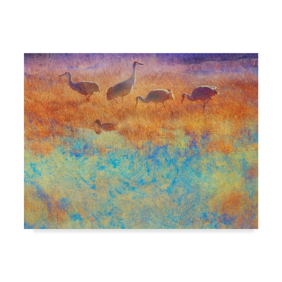 Trademark Fine Art 'Cranes in Soft Mist' Canvas Art by Chris Vest