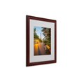 thumbnail image 1 of Trademark Fine Art "Crazy Morning Light Paris" Framed Canvas Art by Mathieu Rivrin, 1 of 1