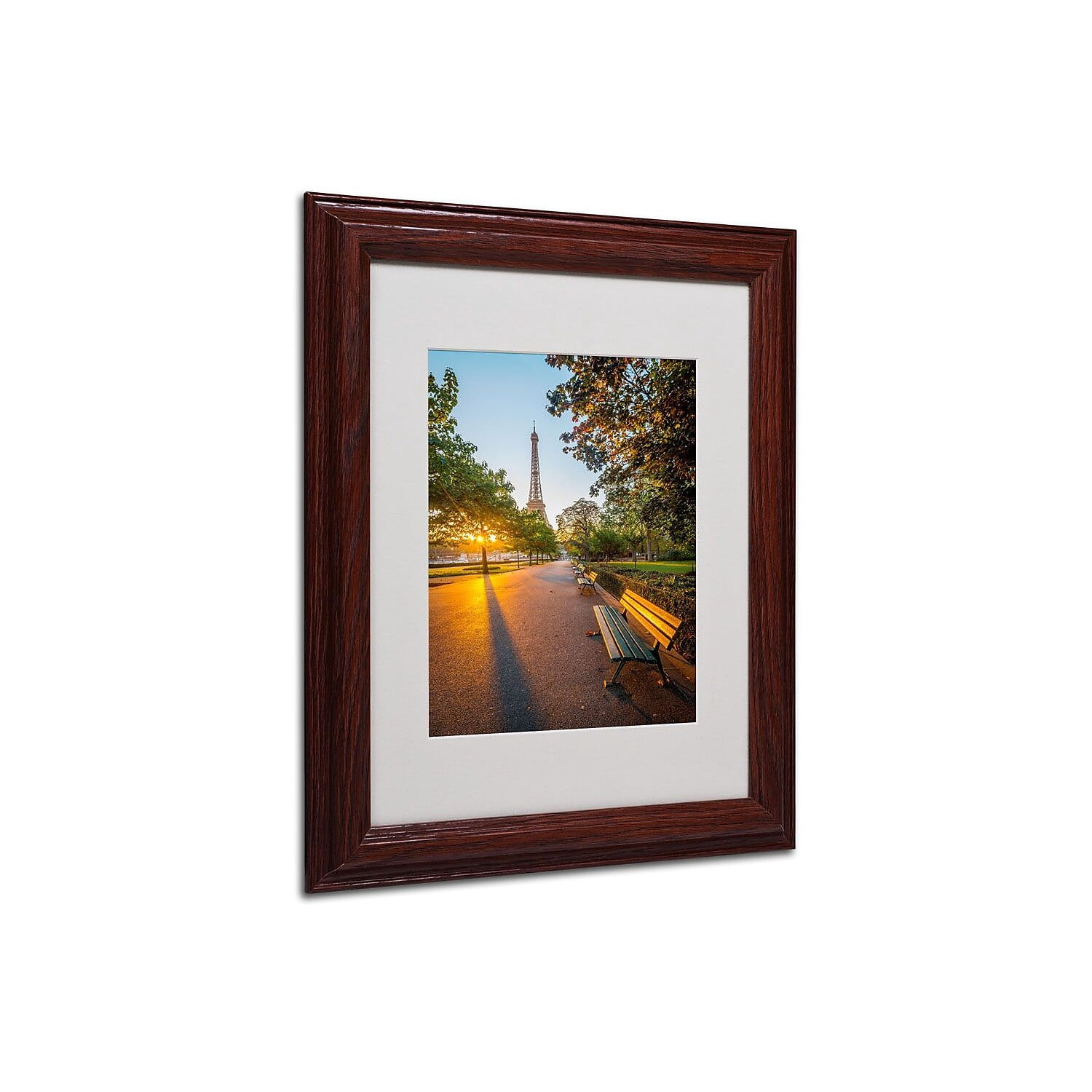 Trademark Fine Art "Crazy Morning Light Paris" Framed Canvas Art by Mathieu Rivrin