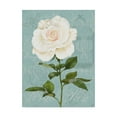 thumbnail image 1 of Trademark Fine Art 'Cream Rose I' Canvas Art by Jade Reynolds, 1 of 4