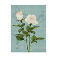 thumbnail image 1 of Trademark Fine Art 'Cream Rose II' Canvas Art by Jade Reynolds, 1 of 4