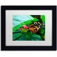 thumbnail image 1 of Trademark Fine Art "Cream Spotted Tigerwing" Canvas Art by Kurt Shaffer, White Matte, Black Frame, 1 of 4