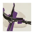thumbnail image 1 of Trademark Fine Art 'Creamy Amethyst I' Canvas Art by Chris Paschke, 1 of 3