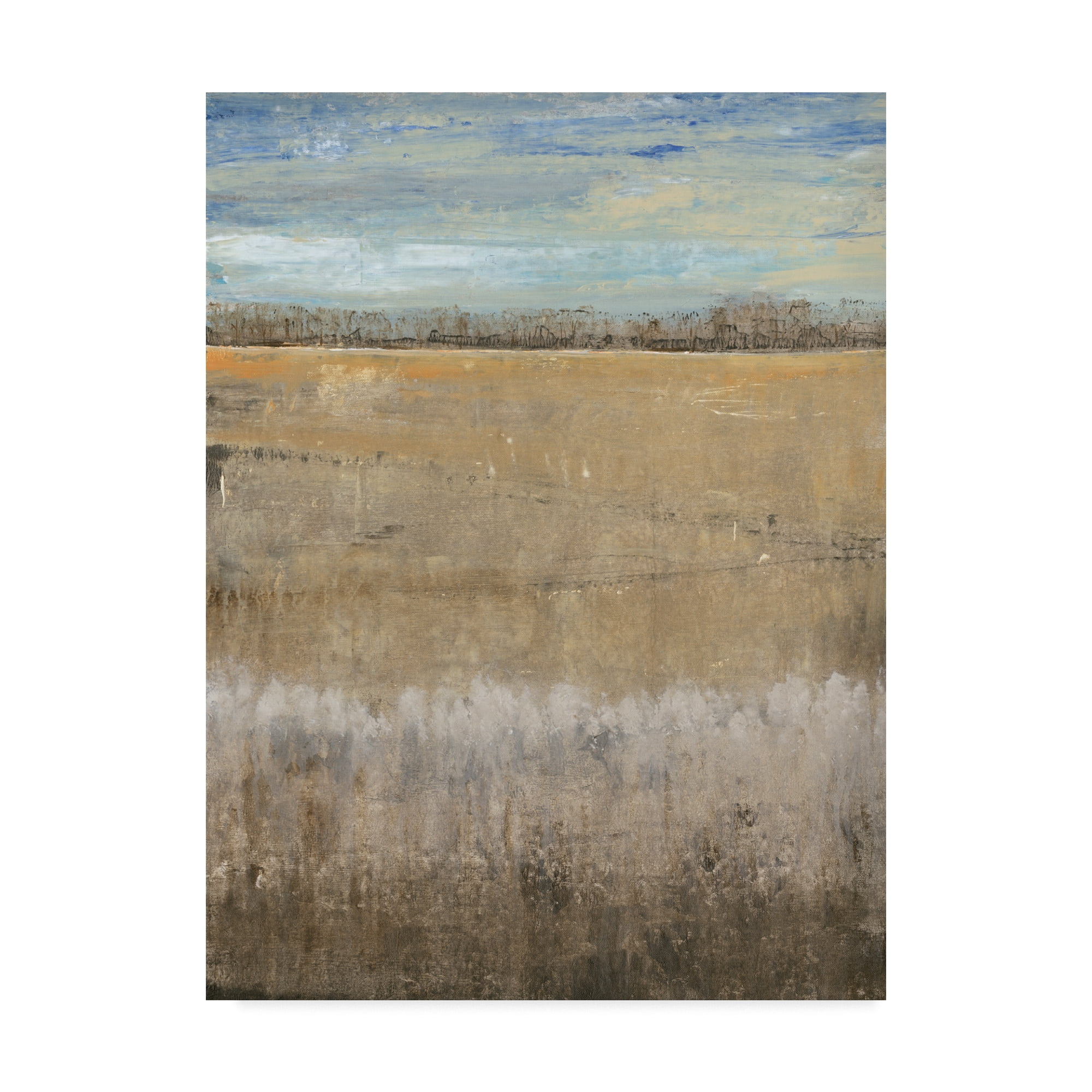 Trademark Fine Art 'Crescendo I' Canvas Art by Tim OToole