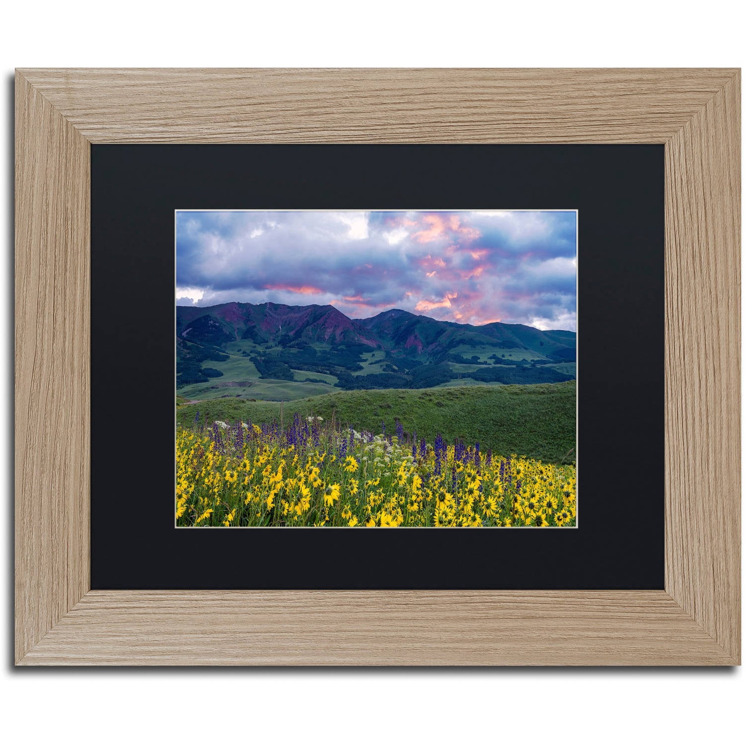 Trademark Fine Art "Crimson Flare" Canvas Art by Michael Blanchette Photography Black Matte, Birch Frame