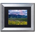 thumbnail image 1 of Trademark Fine Art "Crimson Flare" Canvas Art by Michael Blanchette Photography Black Matte, Silver Frame, 1 of 1