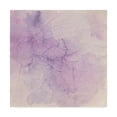 thumbnail image 1 of Trademark Fine Art 'Crinkle Violet' Canvas Art by Chris Paschke, 1 of 3