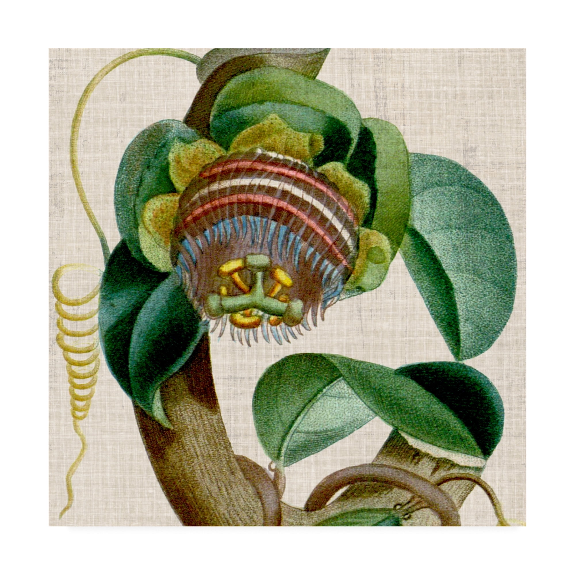 18" x 18" Green and Tan Floral Canvas Art