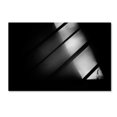 thumbnail image 1 of Trademark Fine Art 'Crossing' Canvas Art by Frank Dalemans, 1 of 3