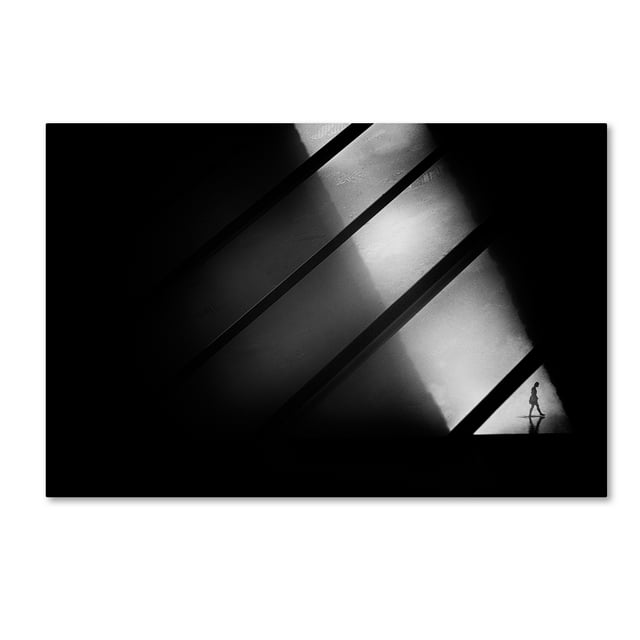 Trademark Fine Art 'Crossing' Canvas Art by Frank Dalemans