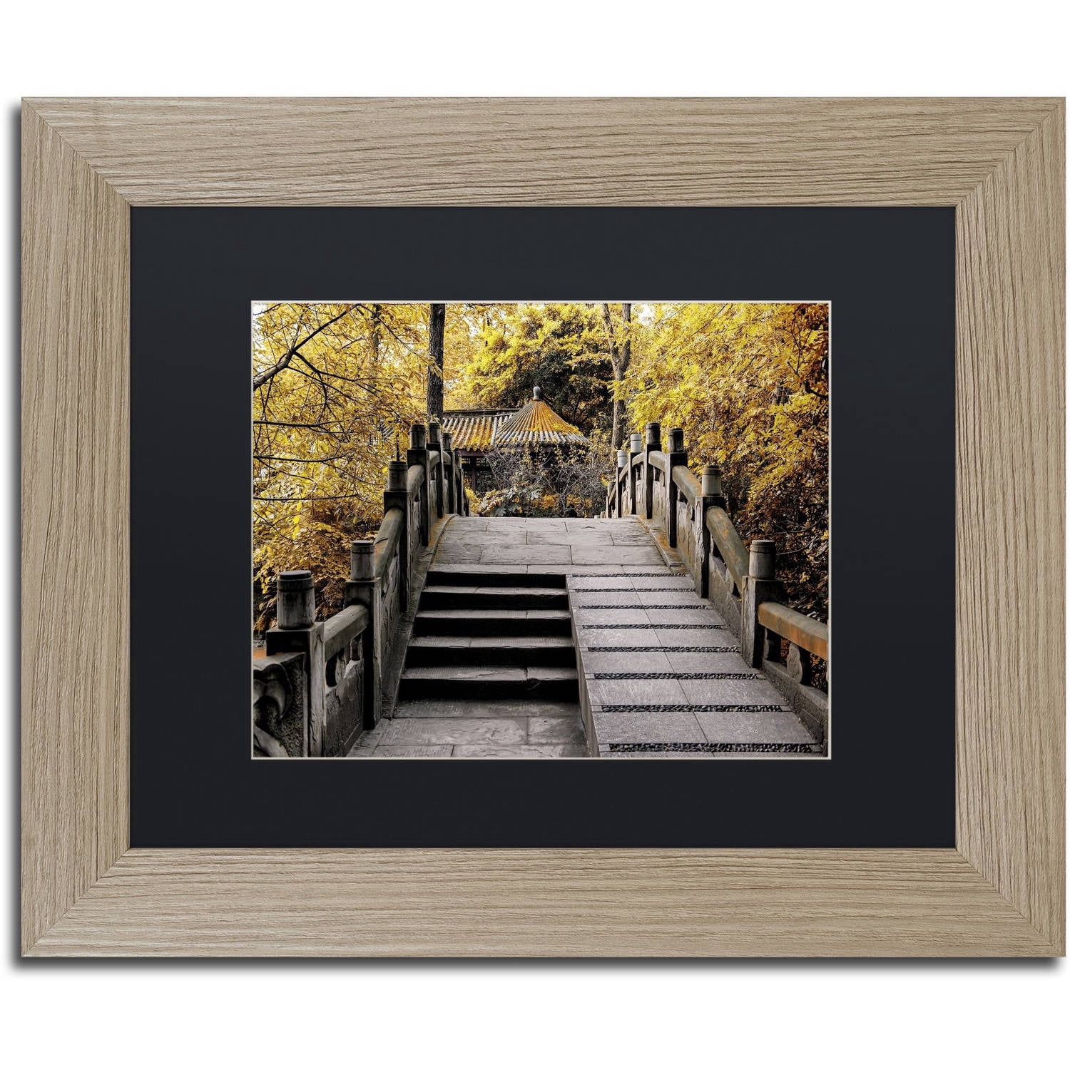 Trademark Fine Art "Crossing Fall" Canvas Art by Philippe Hugonnard, Black Matte, Birch Frame